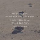 오늘은책방 이미지