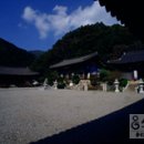 광덕사 일대 이미지