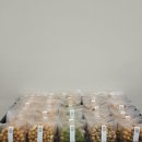 북문길 | 오란다선물세트 추천! 강화도디저트맛집 왕의주전부리