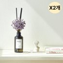 메르시슈가