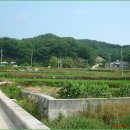 김천시어모면능치보건진료소 이미지