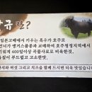 와규앤막창 - 파주시 가람로21번길 41 | 와규앤막창