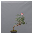 옥동자 이미지