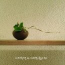라르고(Largo)