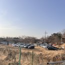 바닐라브릭 | 남양주 애견카페&amp;운동장 '바닐라브릭' 프렌치불독 뿌꾸 후기!!