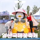 지조마켓 | 일산 꽃박람회 입장권 2026 직접 다녀온 꿀Tip