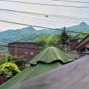 빅팥 네이버블로그