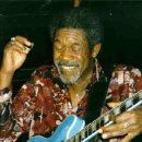 Luther allison 노래모음 이미지