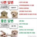 2026년 1분기 애니메이션 후기