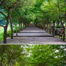 북천둔치 족구장 화장실 | 9월 꽃구경 가을 여행지 평창 백일홍축제와 평창바위공원