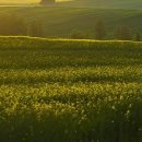 항리민박 이미지