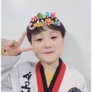 새고려태권도장 이미지