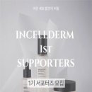 대외활동 -인셀덤 서포터즈 1기 모집