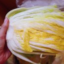 남쪽창고농수산물협동조합 이미지