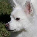 언주로7길 이미지