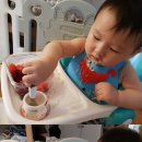 산딸기목장 이미지