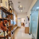 노아동물병원 | 내돈내산｜인천도화동 노아동물병원 강아지 건강검진 후기, 강아지 방광염 경과 건강검진 비용 공개