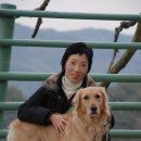 수정이네 이미지