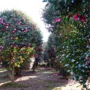 안성리 마을회관 이미지