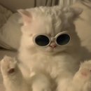 카페누비 이미지