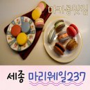 마리웨일 | [세종 도담동 카페] 마리웨일237_미친 맛과 미친 가성비의 세종시 마카롱맛집!!!