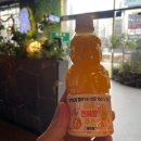 위례푸르지오102동앞 | 위례 맛집 제주도 느낌 제줏간 후기(외식 추천)