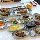 돌고래회센터 | 강원도 고성 횟집 활어 전문 바다전망_ 돌고래횟집
