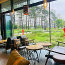 망포글빛도서관 강당 | [망포_음식점후기] 🌿 망포 글빛도서관 근처 감성 카페, 글빛커피 후기