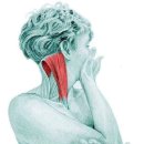 천무태권도 이미지