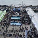 방어축제거리 이미지