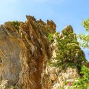 바다와소나무 이미지