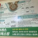 숨빛안MST연구소 이미지