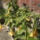 송운농장 이미지