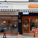 도그에이드 이미지