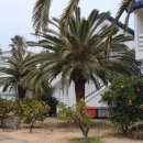 하모체육공원 이미지