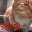 거가에너지