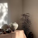 푸른정원 이미지