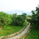 낙안읍성 이미지