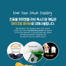 퍼피엔젤 이미지