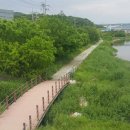 해제축구장 이미지