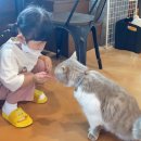 멍이와 쿤이 이미지