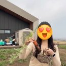 아뜰리에푸드 | 제주 애월 이색 체험 토토아뜰리에 베이킹 클래스 후기 | 예약·메뉴·가격·주차·내돈내산