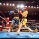 MS복싱아카데미 이미지