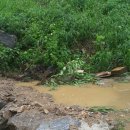 민지네 농장 이미지