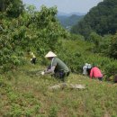 평화남산동주민센터 이미지