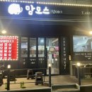 맘모스껍데기 이미지