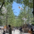 샐러디목동41 이미지