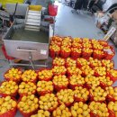 성주농장 이미지