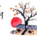 하앤박치과의원 이미지