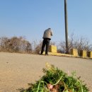 김옥수농장 이미지